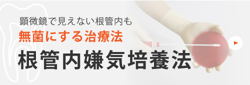 顕微鏡で見えない根管内も無菌にする治療法根管内嫌気培養法