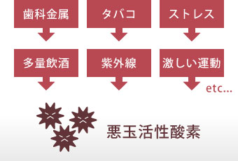 活性酸素が発生する原因：ストレス・タバコ・激しい運動・多量飲酒・紫外線・歯科金属など