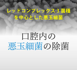 口腔内の悪玉細菌の除菌（レッドコンプレックス3菌種を中心とした悪玉細菌）