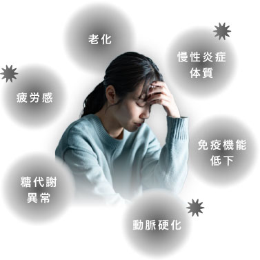 老化・慢性炎症体質・免疫機能低下・動脈硬化・糖代謝異常・疲労感