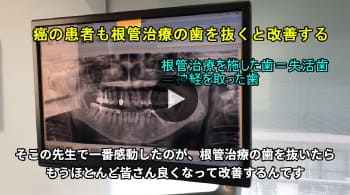 動画を再生する