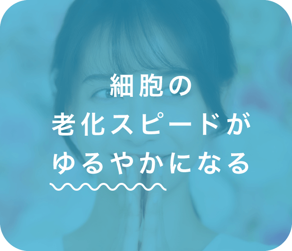 細胞の老化スピードがゆるやかになる