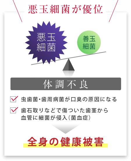 悪玉細菌が優位：体調不良（虫歯菌・歯周病菌が口臭の原因になる、歯石取りなどで傷ついた歯茎から血管に細菌が侵入（菌血症））