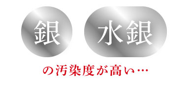 銀・水銀の汚染度が高い…